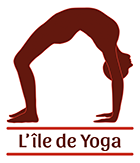 Yoga Yiengar à Lille